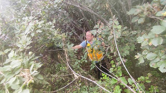 Ѳ�����ǡ�Ȱ�������οͣ�������һ֧��Ժ�ɾ�־Ը�����