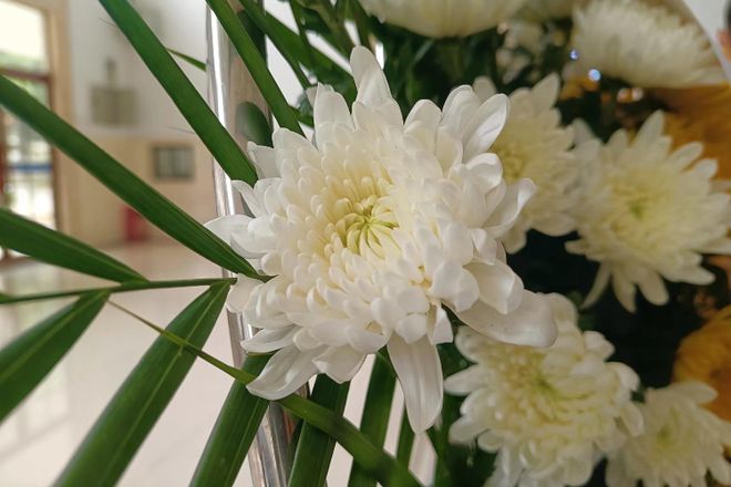 ɨ���۸��������á������¡��ع鹫��